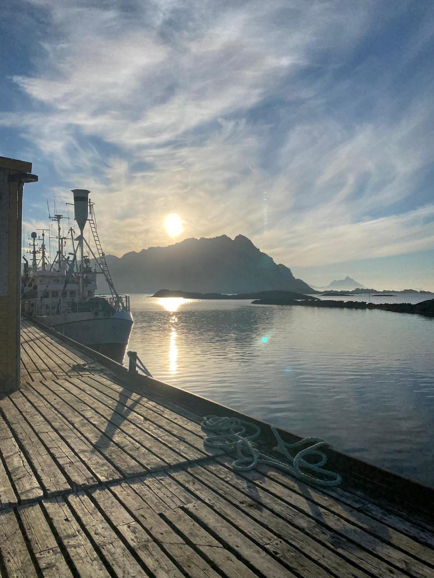 Sennesvik Apartments Lofoten Eksteriør bilde